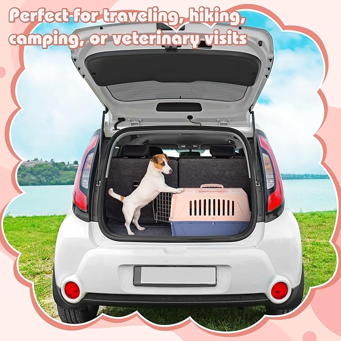 Locmeo 2 Set 18.9" Pet Carrier for Small Cats and Dogs, Hard Sided Plastic Cat Kennel for Pet with Front Door Security Lock Fully Breathable Travel Crate, up to 13 Lbs(Blue,18.9 x 12.6 x 11.8 Inch)