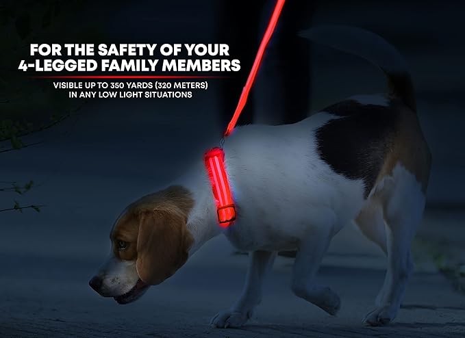 ILLUMISEEN LED Dog Collar USB Rechargeable - Bright & High Visibility Lighted Glow Collar for Pet Night Walking - Weatherproof, in 6 Colors & 6 Sizes (Red XX-Small)