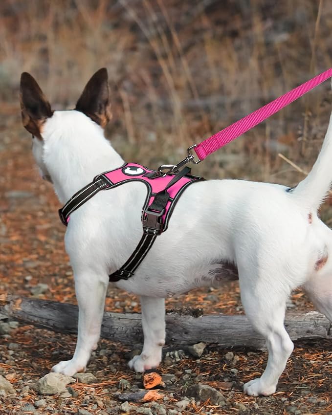 Joytale Dog Leash, 6 FT Double-Sided Reflective, Padded Handle Nylon Heavy Duty Leashes for Small & Medium Dogs Walking, Hotpink