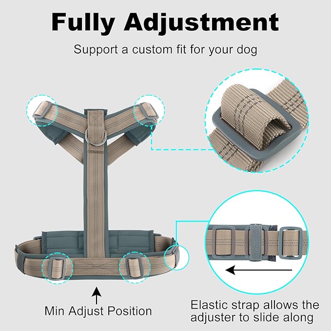 Plutus Pet No Pull Dog Harness, Adjustable Nylon Harness with Soft Padding, Reflective and Heavy Duty Dog Harness for Small, Medium, Large Dogs(Beige, XL)
