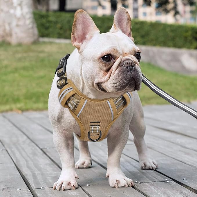 HEELE Dog Harness, Dog Harness for Small Medium Large Dogs No Pull Adjustable Padded Reflective Harness with Handle for Walking Training, Brown, S