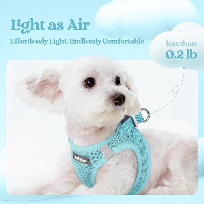 rabbitgoo Dog Harness Small Sized and Leash Set, Step in Soft Light Puppy Vest, Breathable Mesh Pet Harness, Reflective for Safe Easy Walking, Mint Blue XXS