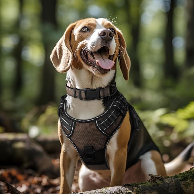 Joytale Reflective Dog Collar, Soft Neoprene Padded, Metal D-Ring, Nylon Pet Collar Adjustable for Large Dogs, Brown, Large