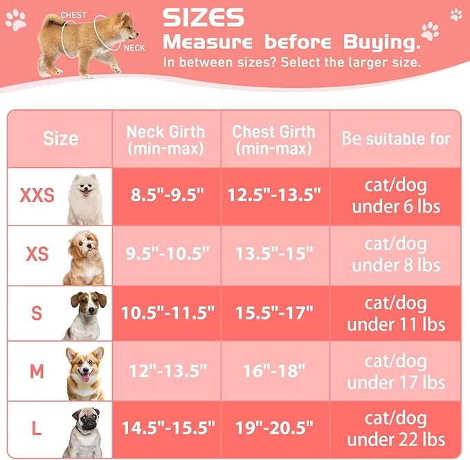 Soft Mesh Dog Harness and Leash Set, No Pull Puppy Harness and Leash Set, Reflective Step in Harness for Small Medium Dogs, Easy Walk Escape Proof Vest Harnesses (Pink, XS)