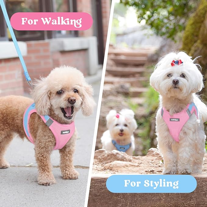 rabbitgoo Small Dog Harness, Step-in Soft Mesh Puppy Vest with Safety Buckle, Breathable Reflective Pet Harness for Large Dogs, Blue & Light Pink XXL