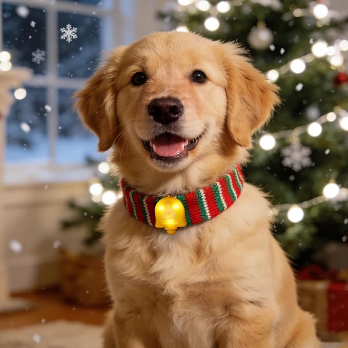 LaRoo Christmas Day Dog Lights for Night Walking,Led Dog Collar Lights for Nighttime Clip On Light up Dog Collar (Yellow)