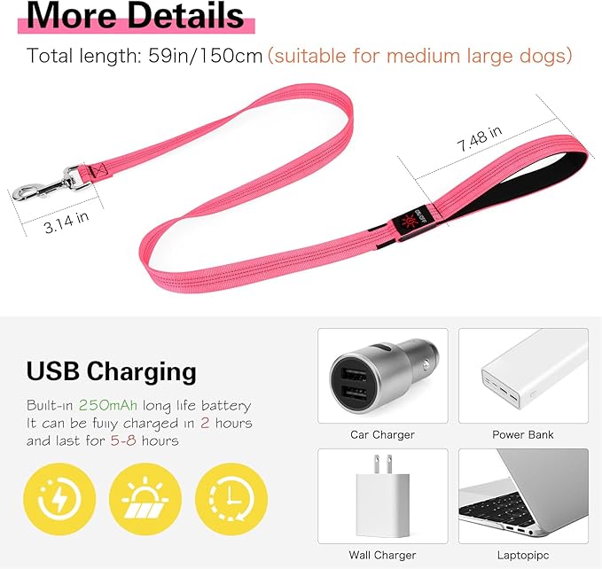 Dolitego Light Up Dog Leash, 5 Ft LED Dog Lead Rechargeable Glow in The Dark Pet Leashes Safety Dog Lights for Night Walking (Pink)