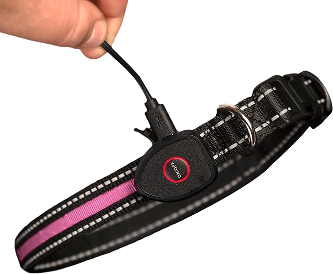 Sherry Kline LED Light-Up Pet Collar - USB Rechargeable - Flashing Glow in The Dark Size Large, Color: Pink
