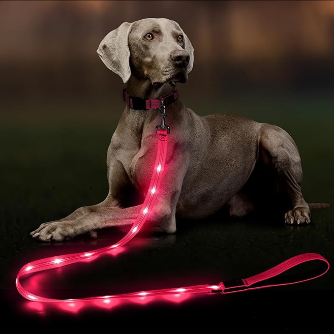 Dolitego Light Up Dog Leash, 5 Ft LED Dog Lead Rechargeable Glow in The Dark Pet Leashes Safety Dog Lights for Night Walking (Pink)