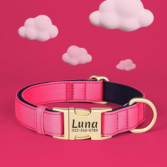 PET ARTIST Personalized Dog Collars, Colorful Pink Custom Dog Collar with Silent Engraved ID Tag, Lightweight Breathable Nylon & Soft Padded, Matching Leash & Poop Bag for Medium Dogs,M Fit 13-20"