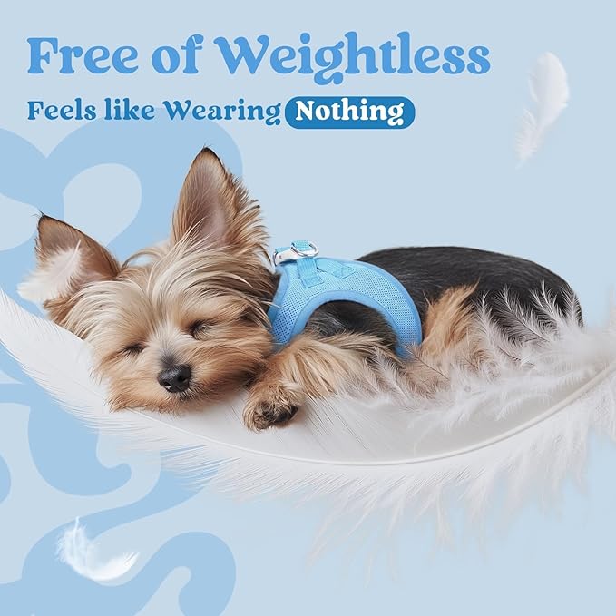 rabbitgoo Small Dog Harness, Step-in Soft Mesh Puppy Vest with Safety Buckle, Breathable Reflective Pet Harness for Small Medium Dogs, Blue L