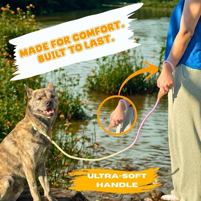 Dog Leash - Slip Leads for Dogs, 5 FT Pet Training Leash, Strong Heavy Duty Braided No Pull Loop Rope Training Lead Leashes for Small, Medium, Large Breeds, Purple & Green
