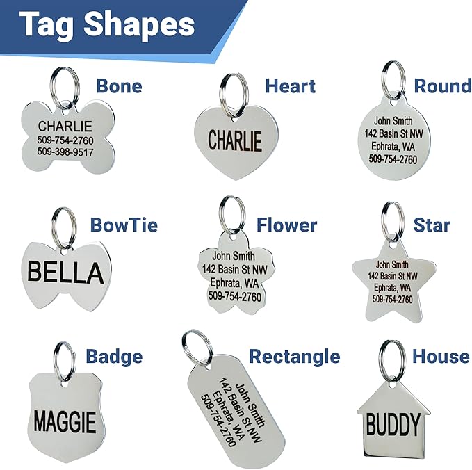 GoTags Stainless Steel Pet ID Tags, Personalized Dog Tags and Cat Tags, up to 8 Lines of Custom Text, Engraved on Both Sides, in Bone, Round, Heart, Bowtie and More (Heart, Small (Pack of 1))