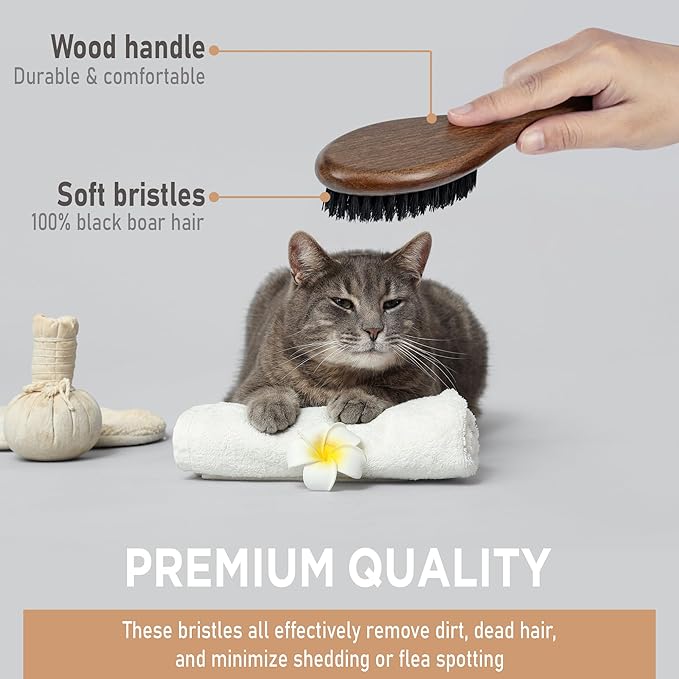 TAKAVU Boar Bristle Cat Hair Brush, Gentle Grooming Brush with Natural Bristles and Wooden Handle for Sensitive Skin, Pet Cleaning Supplies Keeping Your Cat's Fur Hair Coat Healthy and Shiny