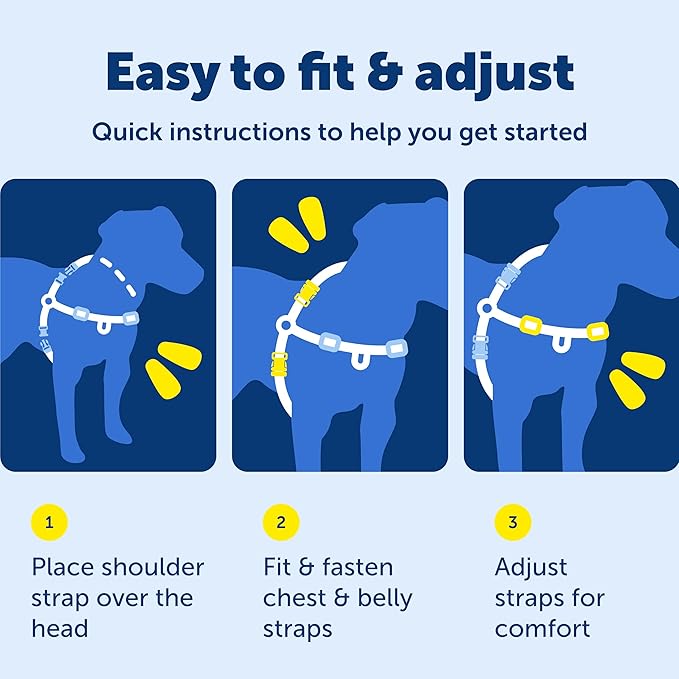 PetSafe Deluxe Easy Walk Harness - Trainer-Trusted Dog Chest Harness with Breathable Martingale Loop Design - Helps Stop Pulling with No Choking & Gagging - Small - Steel