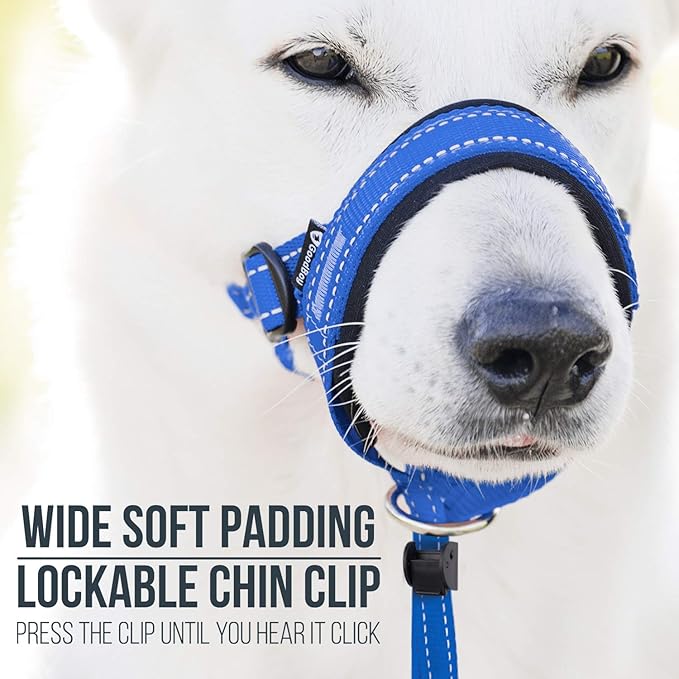 GoodBoy Dog Head Halter with Safety Strap - Stops Heavy Pulling On The Leash - Padded Headcollar for Small Medium and Large Dog Sizes - Head Collar Training Guide Included (Size 3, Blue Nylon)