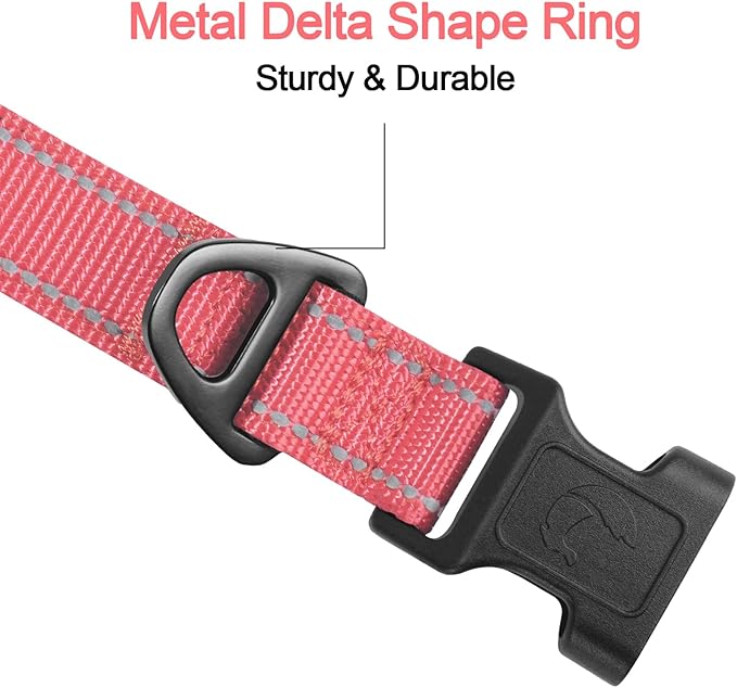 Joytale Reflective Dog Collar, Soft Neoprene Padded, Metal D-Ring, Nylon Pet Collar Adjustable for Small Dogs, Neon Pink, S