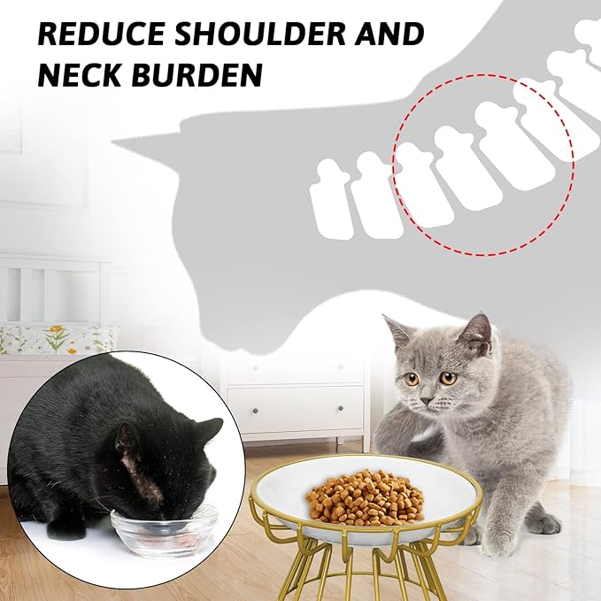 BNOSDM Raised Cat Dish Ceramic Shallow Cat Bowl with Gold Stand Elevated Pet Food Plate for Indoor Cat Kitten Small Dogs