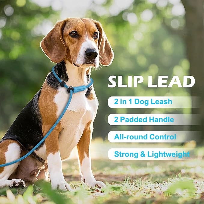 6FT Slip Lead Dog Leash with Double Padded Handle, Anti-Tangle Slip Leads for Dogs, Reflective Nylon No-Pull Training Leash for Small Medium Dogs, Sky Blue