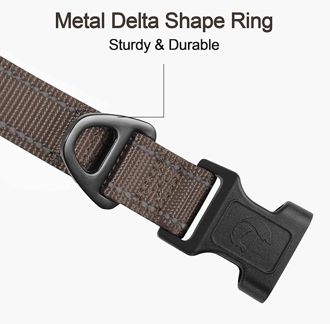 Joytale Reflective Dog Collar, Soft Neoprene Padded, Metal D-Ring, Nylon Pet Collar Adjustable for Small Dogs, Brown, Small