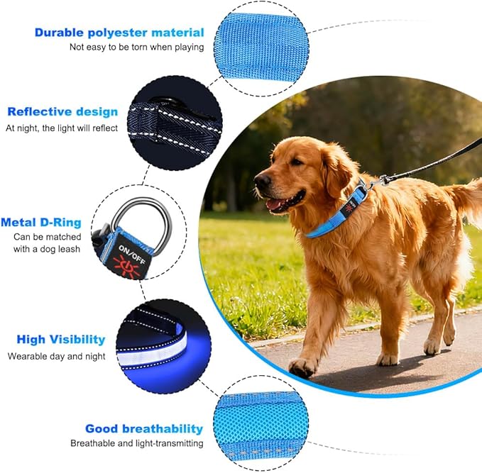 Dolitego LED Dog Collar USB Rechargeable - Light Up Dog Collar Safety Pet Collars with Lights for Night Walking (Blue, L)