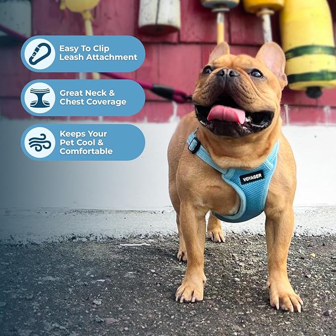 Best Pet Supplies Voyager Mesh Dog Breathable Harness Reflective Stitching, All Weather Adjustable for Walking Training, or Running - Heavy Duty & Durable, Harness (Baby Blue), L