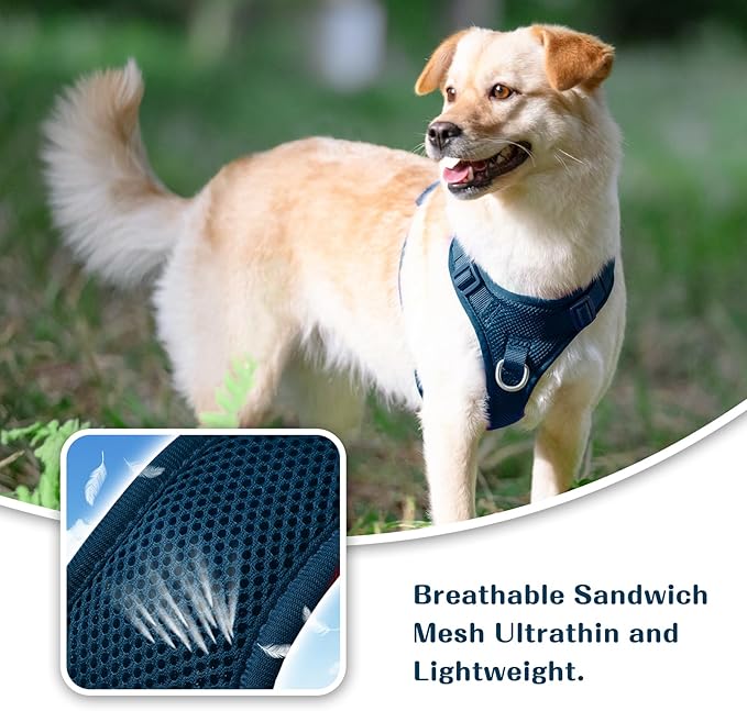 No Pull Dog Harness for Small Medium Large Dogs - Adjustable 2 Layer Mesh Dog Vest with Dual Clip, Escape Proof, Quick Release, Lightweight Breathable Mesh for Walking Hiking (Prussian Blue,XS)
