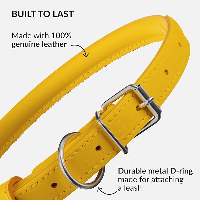 CollarDirect Rolled Leather Dog Collar, Soft Padded Round Puppy Collar, Handmade Genuine Leather Collar Dog Small Large Cat Collars 13 Colors (13-16 Inch, Yellow Smooth)
