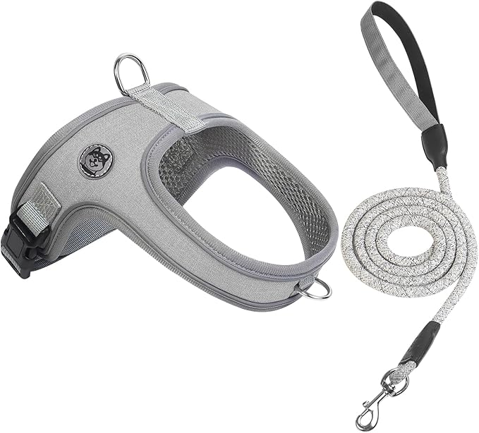Dog Harness and Leash Set, No Pull Saddle Style Pet Harness, Breathable Mesh Adjustable Reflective Dog Vest for Dogs and Cat Medium Small Harness 2 D-Rings, Grey, S