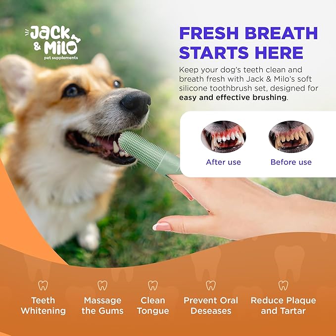 Jack & Milo Soft Silicone Finger Toothbrush for Dogs – Gentle & Effective Oral Care for Small Dogs, Puppies & Cats – Long-Lasting & Easy to Use – Green – Ideal for Baby Pets