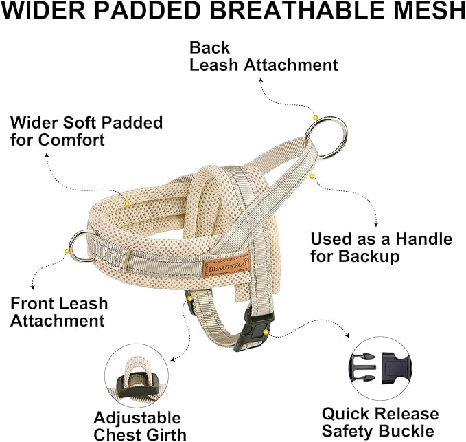 BEAUTYZOO Dog Harness for Small Dogs, No Pull Dog Harness and Leash Set, Escape Proof Puppy Vest Harness with Handle, Reflective Breathable Mesh Padded Harness for Girl Boy Dogs, Beige XXS