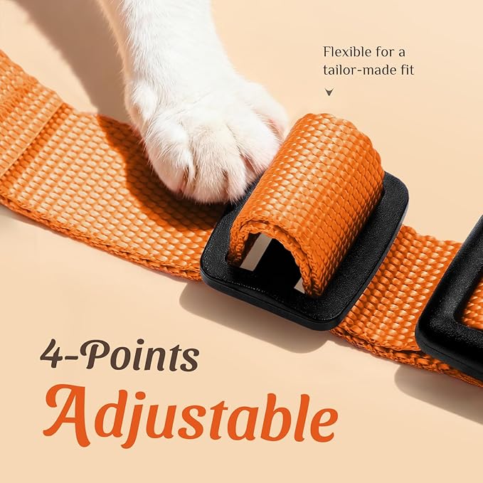 Dooradar Cat Harness and Leash Set, Escape Proof Safe Adjustable Kitten Vest Harnesses for Walking, Easy Control Soft Breathable Mesh Jacket with Reflective Strips for Cats, Orange, XS