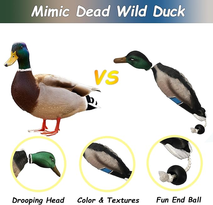fingig 2 Pcs Duck Dummy Bumper Toys for Hunting Retriever Dog Training, Dog Retriever Outdoor Training Toy ，Hunting Duck Recognition Trainers, Foam Pet Interactive Toys
