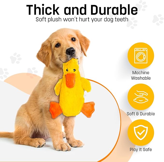 FGA MARKETPLACE Racoon-Duck Flat NO Stuffing NO Squeak Plush Dog Toy, Funny Style Will Entertain Your Pet for Hours, Recommended for Small and Medium Dog 21 INCH Long