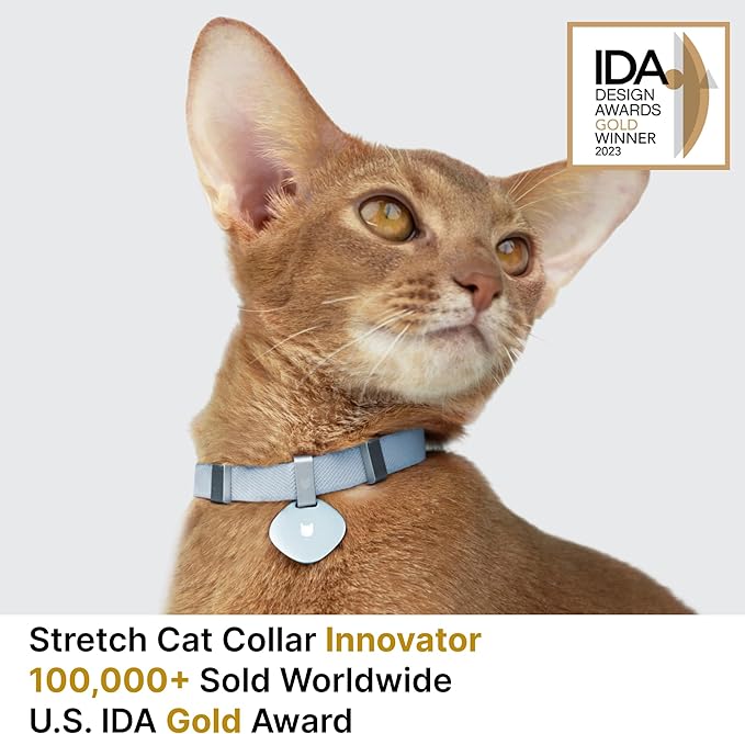 Safety Cat Collar and ID Tag Set - Elastic Quick Release, Non Breakaway Cat Collar Personalized Anodized Aluminum Engraved Pet Name Tag, Lightweight for Kitten and Small Large Cats
