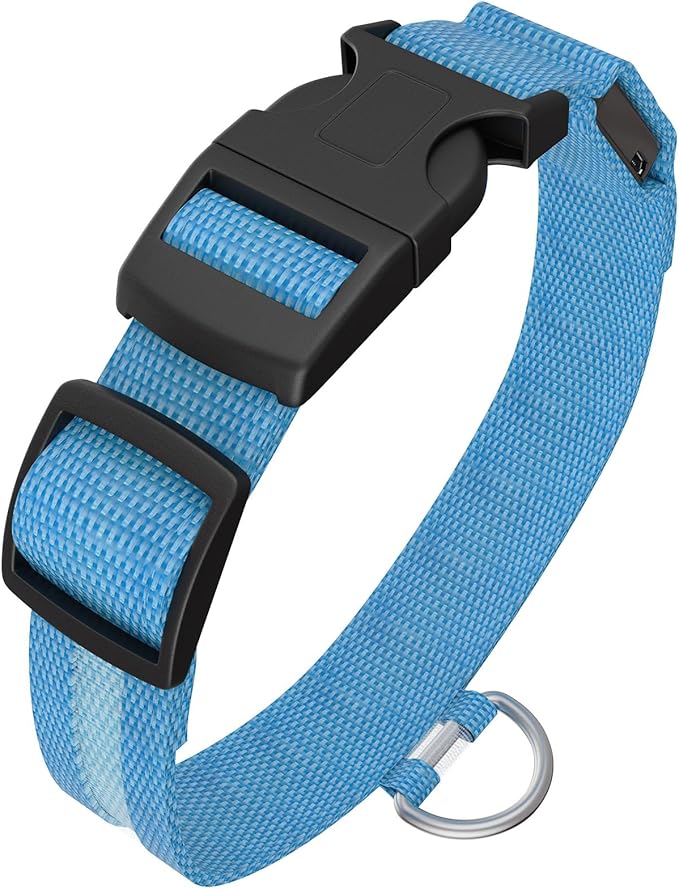 LED Light Up Dog Collar Rechargeable Waterproof, Glow in Dark Dog Collar, Lighted Dog Collars for Night Walking Charging USB, Safety for Small Medium Large Dogs (S, Blue)