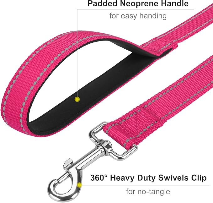 Erbine 6FT Reflective Nylon Dog Leash with Soft Padded Handle for Walking, Running and Training, Supports Small Medium and Large Dogs (Hotpink, 3/4Inch Wide)