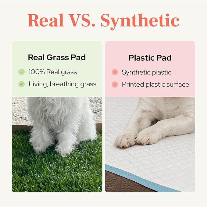DoggieLawn Real Grass Puppy Pee Pads - Potty Training Pads for Dogs & Puppies - Indoor Grass Dog Potty for Apartments & Bad Weather - Natural Living Grass - XLarge 24 x 48 Inches - Made in USA