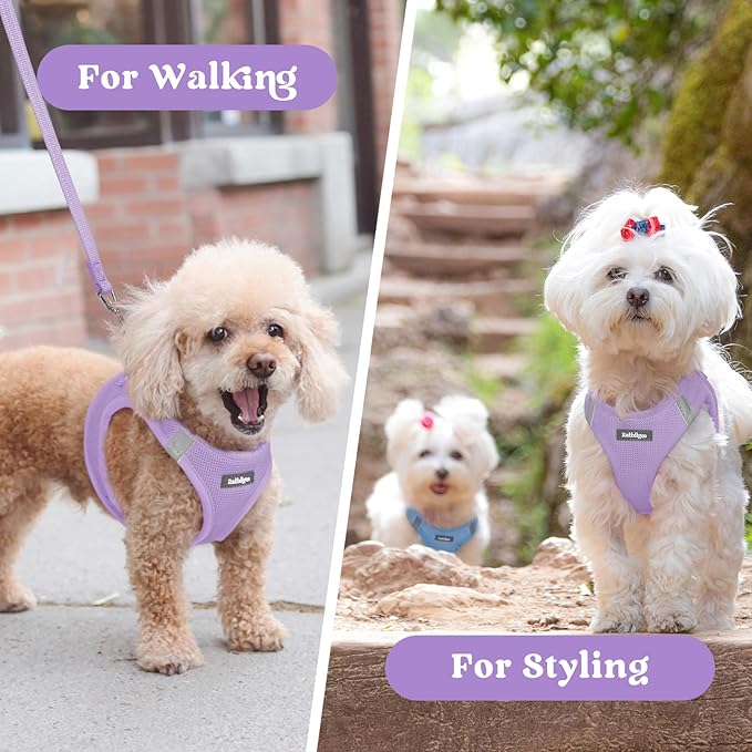 rabbitgoo Small Dog Harness, Step-in Soft Mesh Puppy Vest with Safety Buckle, Breathable Reflective Pet Harness for Small Sized Dogs, Light Purple M