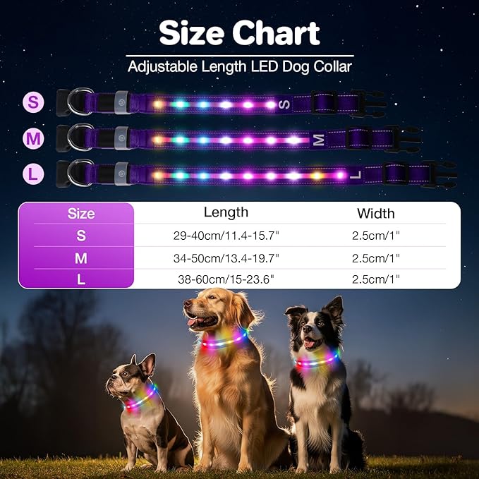 Fiveda Light Up Dog Collar, USB Rechargeable 6 Modes, Waterproof Charging Port, Long Lasting LED Collar - Adjustable Nylon Reflective for Dogs, Sizes S/M/L (7/9/11 Lights) - Purple, S