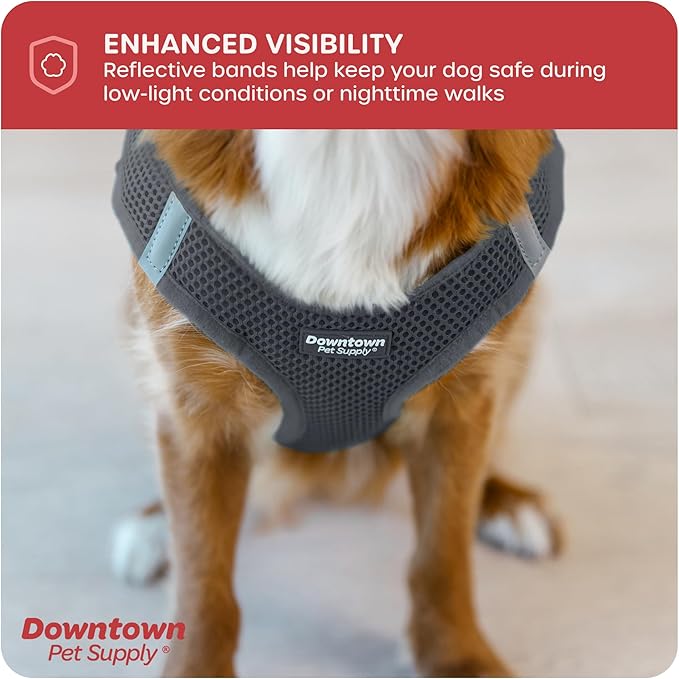 Downtown Pet Supply Step-in Dog Harness – No Pull, Adjustable Padded Mesh with Reflective Trim, Secure Buckle Strap – Comfortable & Breathable Small Dog Harness, X-Small, Charcoal