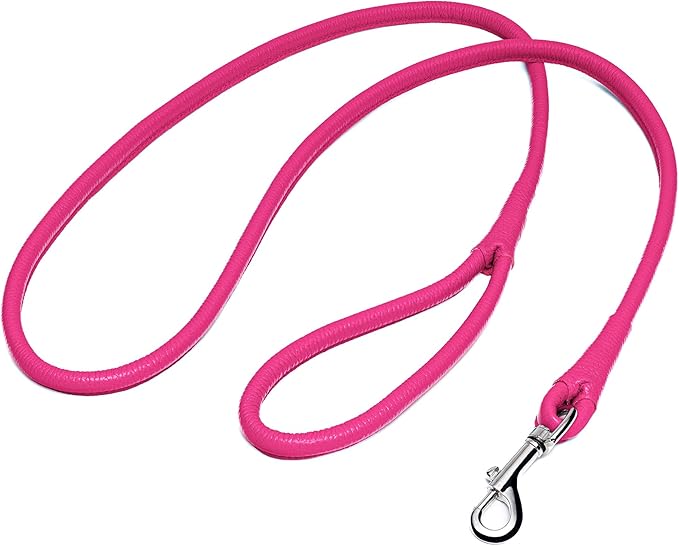 OOPSDOGGY Rolled Leather Dog Lead 6ft Heavy Duty Training Leash for Small Medium Large Dogs & Puppy Black Brown Red (Pink, Small)