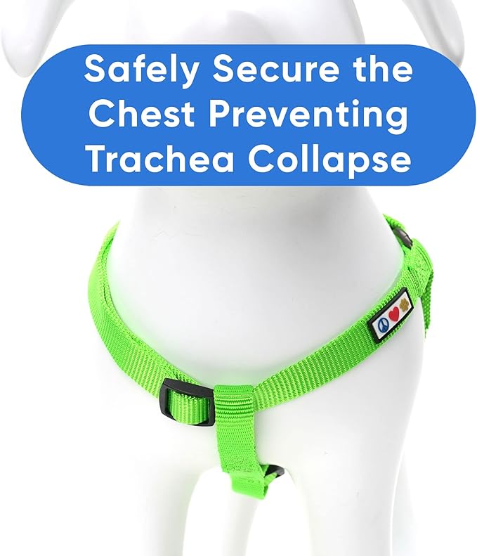 Pawtitas Personalized Dog & Puppy Harness Medium Green Custom ID Tag Adjustable No Pull Vest