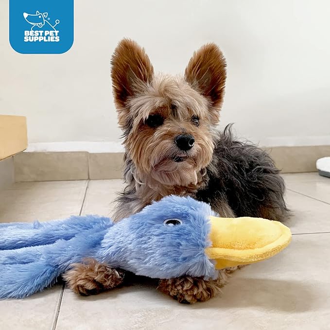 Best Pet Supplies Interactive Squeaky Dog Chew Toy, Ideal Dog Toys for Chewers, Small, Medium & Large Dogs, and Fetch Lovers - Crinkle Duck (White, Yellow & Green), Large