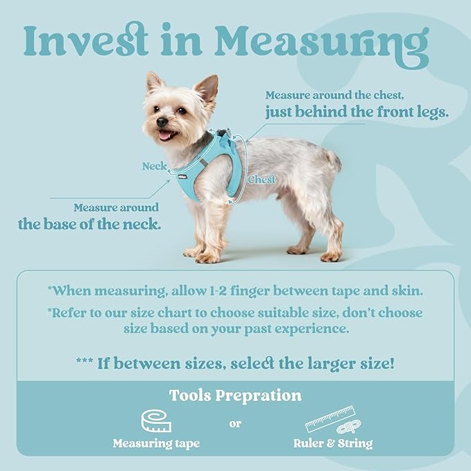 rabbitgoo Small Dog Harness, Step-in Soft Mesh Puppy Vest with Safety Buckle, Breathable Reflective Pet Harness for Extra Small Dogs, Mint Blue XXS