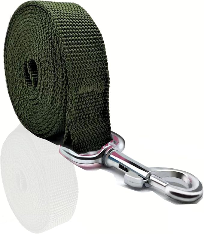 Nylon Dog Leash 16 Feet Long, Walking Training Dog Leashes for Medium Large Dogs(1" X 16 ft, Green)