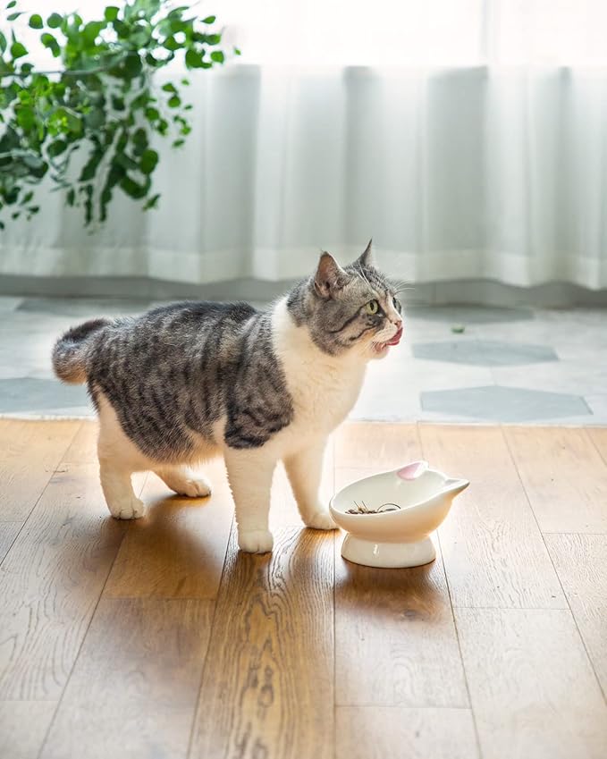 Raised Cat Food Bowl Ceramic 15° Tilted Cat Food Bowls Protect Cat's Spine Anti Vomiting Backflow Prevention Bowls for Adult Kitty, Kitten, and Small Dogs, Pink