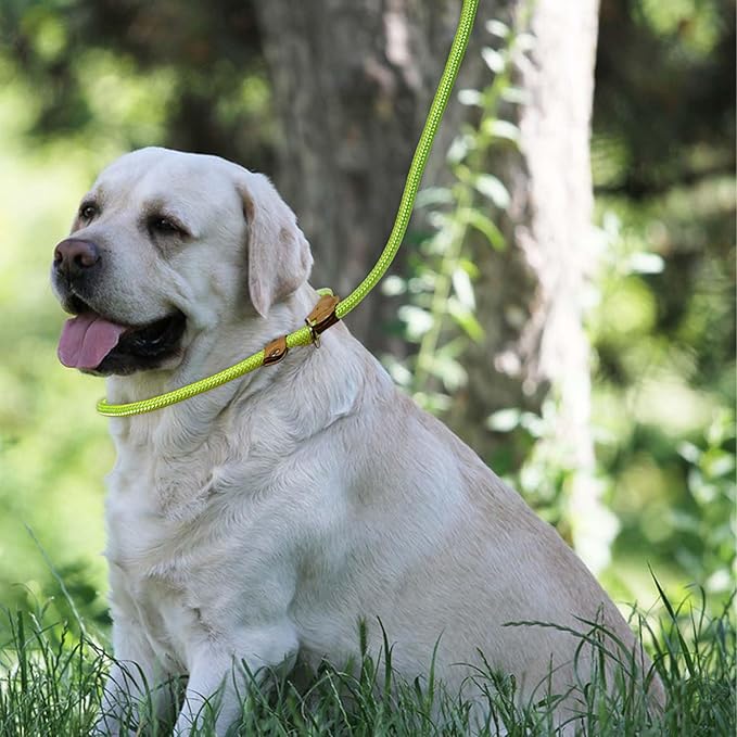 Slip Lead Rope Dog Leash Heavy Duty for Training, Nylon Strong Slip Leads for Dogs 6 Ft X 1/2 Inch,Comfortable Training Leash for Medium Large Dogs