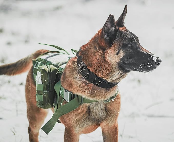 Tactical Dog Collar with Handle - Military Adjustable Dog Training Collar Soft Nylon and Heavy Duty Metal Buckle for Medium Large Dogs - with Patch (Green with Patch, X-Large)