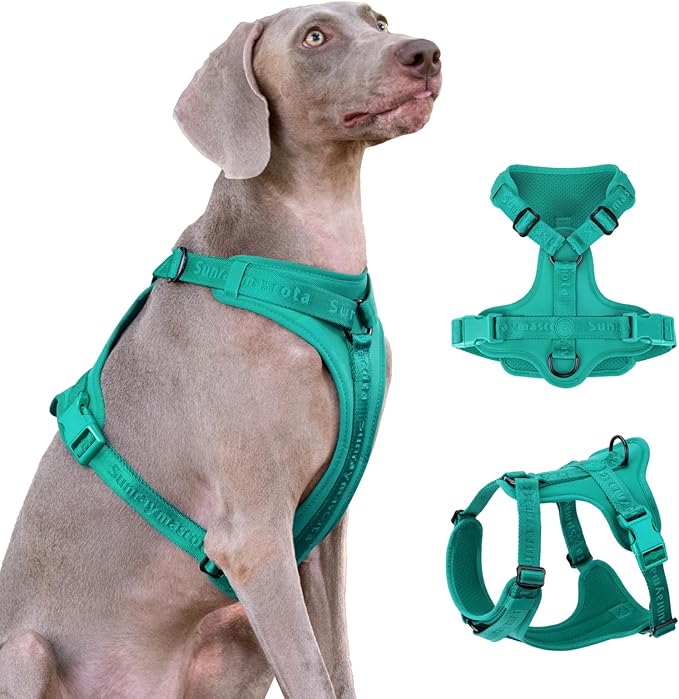 No Pull Dog Harness with Lycra, Three-Point Force Dispersion & 3D Padding, Adjustable Breathable Mesh for Small Medium Large Dogs(MARRS Green,XL)